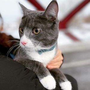 Meet your Posher, Jean